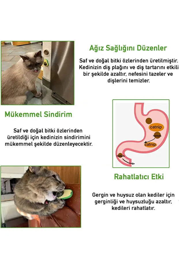 Kedi Nanesi Oyuncağı Miyavko