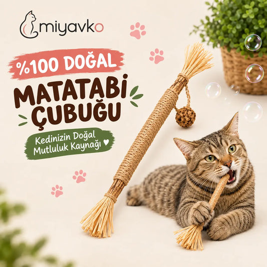 Miyavko™ Doğal Matatabi Çiğneme Çubuğu Miyavko